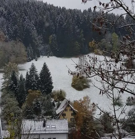 Kirnbach Apartament